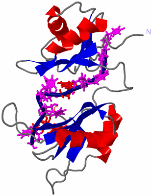 Image NMR Structure - model 1