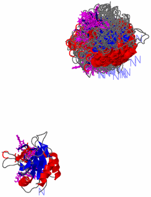 Image NMR Structure - all models