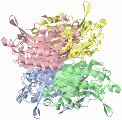 Image Asym./Biol. Unit