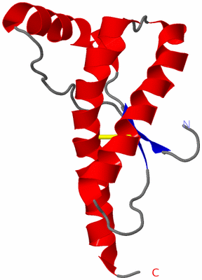 Image NMR Structure - model 1