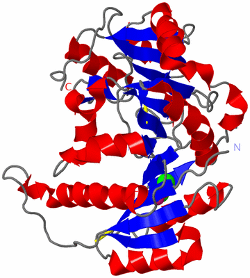 Image Asym./Biol. Unit