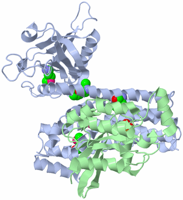 Image Biological Unit 1