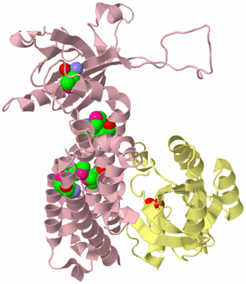 Image Biological Unit 2