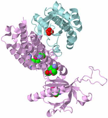 Image Biological Unit 3