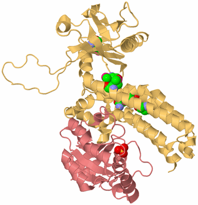 Image Biological Unit 4