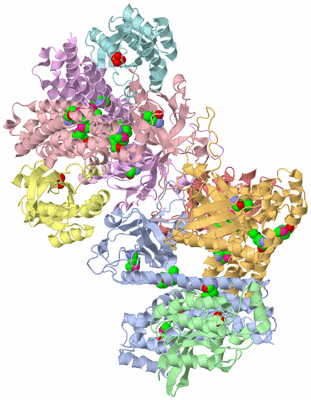 Image Biological Unit 5