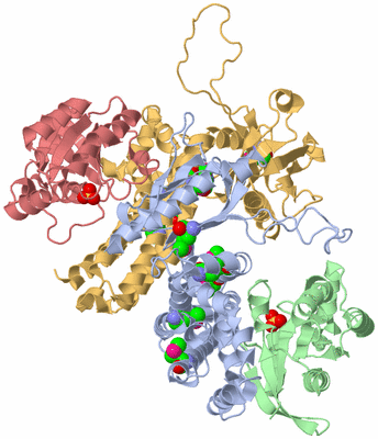 Image Biological Unit 6