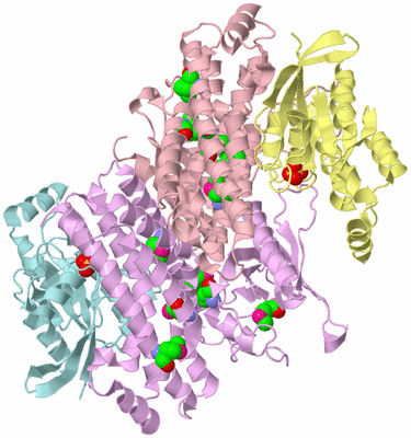 Image Biological Unit 7