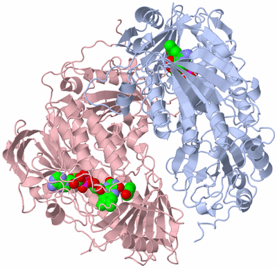 Image Biological Unit 1