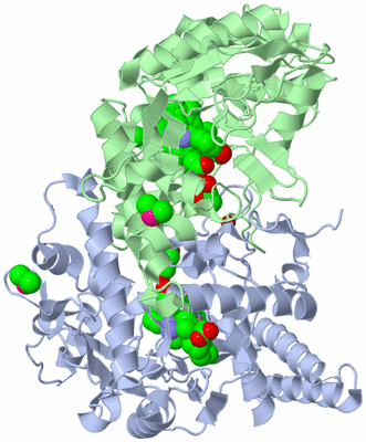 Image Asym./Biol. Unit