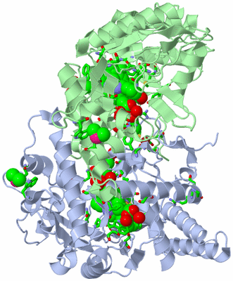 Image Asym./Biol. Unit - sites
