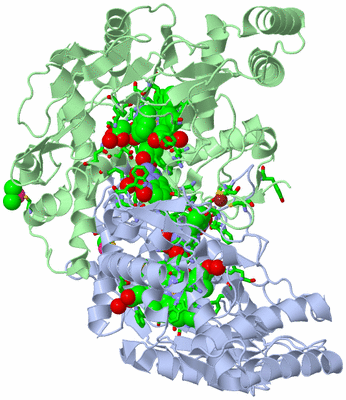 Image Asym./Biol. Unit - sites