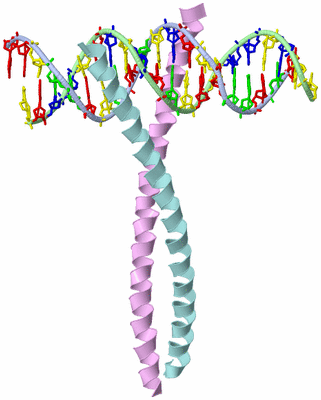 Image Biological Unit 1