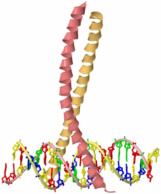 Image Biological Unit 2