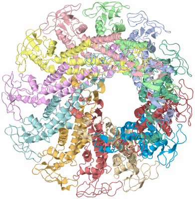 Image Asym./Biol. Unit