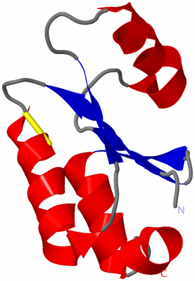 Image NMR Structure - model 1