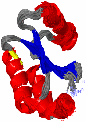 Image NMR Structure - all models