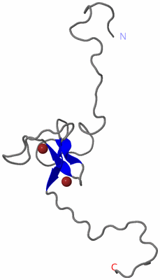 Image NMR Structure - model 1