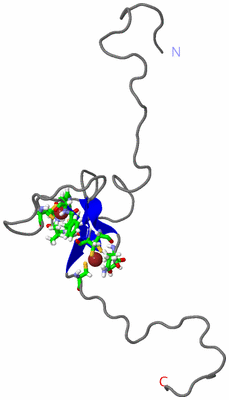 Image NMR Structure - model 1, sites