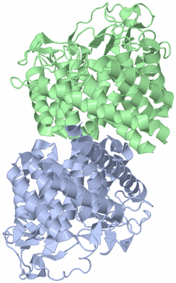 Image Biological Unit 1