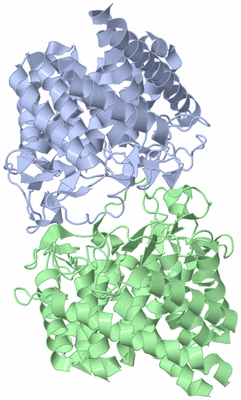 Image Biological Unit 2