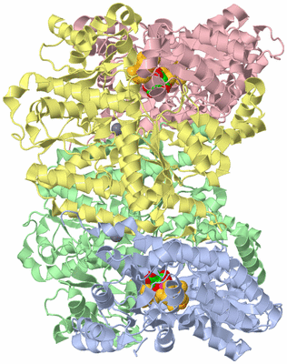 Image Asym./Biol. Unit