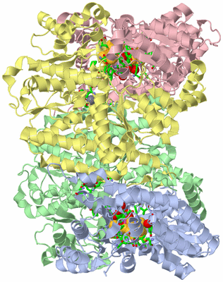 Image Asym./Biol. Unit - sites