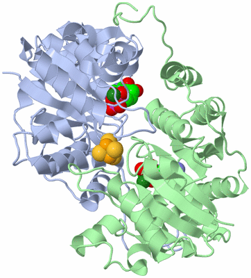 Image Biological Unit 1