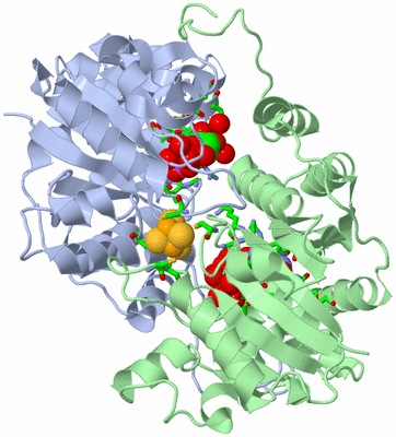 Image Biol. Unit 1 - sites