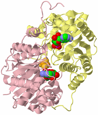 Image Biological Unit 2