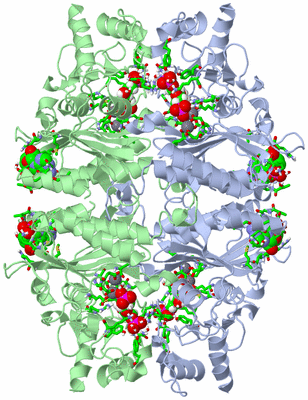 Image Biol. Unit 1 - sites