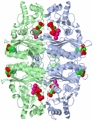 Image Biological Unit 1