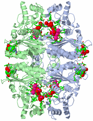 Image Biol. Unit 1 - sites