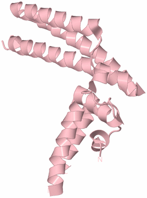 Image Biological Unit 3