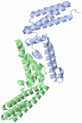 Image Biological Unit 6