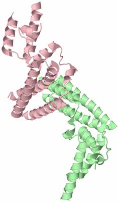 Image Biological Unit 7