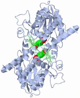 Image Biological Unit 2