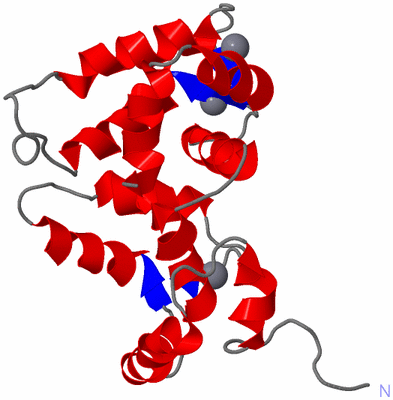 Image NMR Structure - model 1