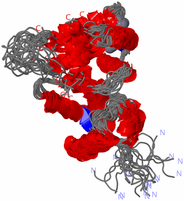 Image NMR Structure - all models