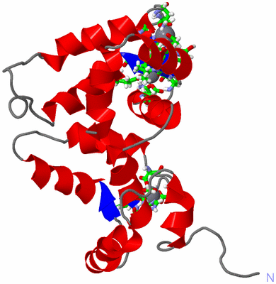 Image NMR Structure - model 1, sites