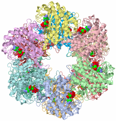 Image Asym./Biol. Unit