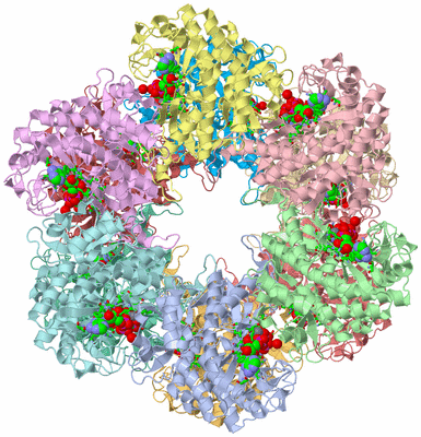 Image Asym./Biol. Unit - sites