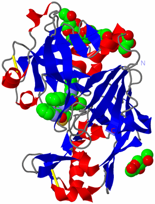 Image Asymmetric Unit