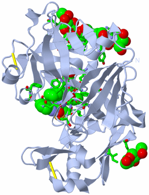 Image Biol. Unit 1 - sites
