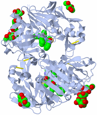 Image Biological Unit 2