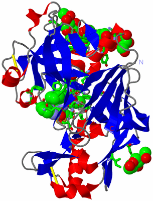Image Asym. Unit - sites