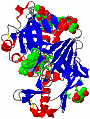 Image Asym./Biol. Unit - sites