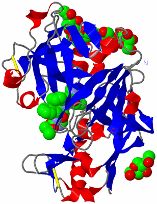 Image Asymmetric Unit