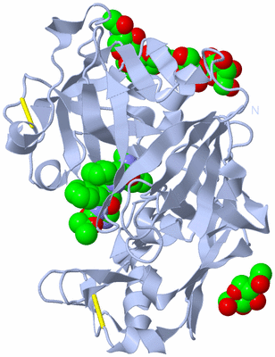 Image Biological Unit 1