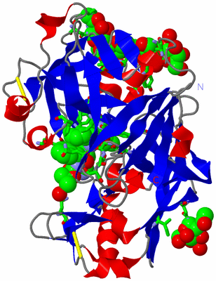 Image Asym. Unit - sites